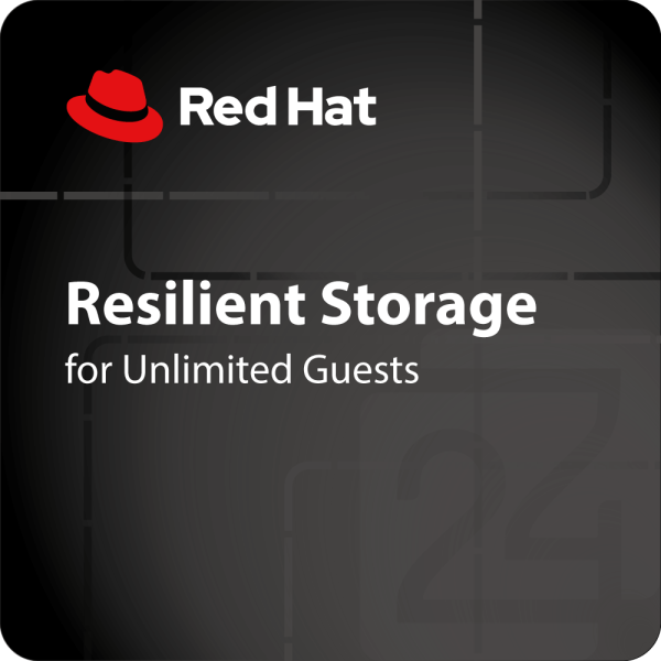 Resilient Storage for Unlimited Guests