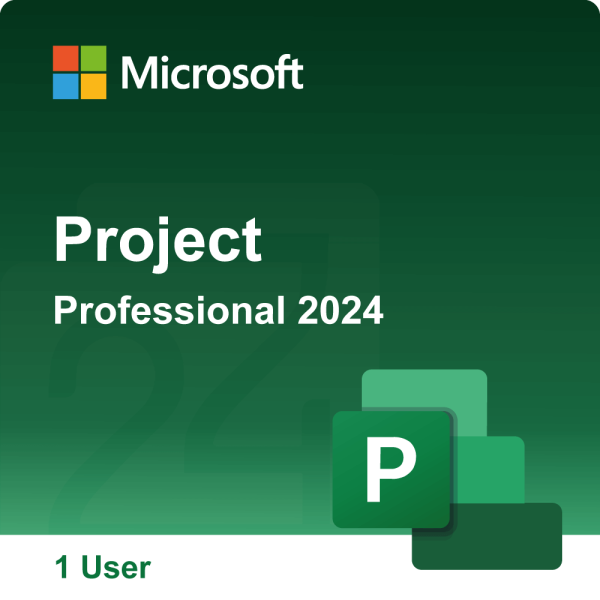 Project 2024 Professional