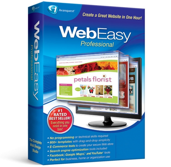 WebEasy Professional 10, English