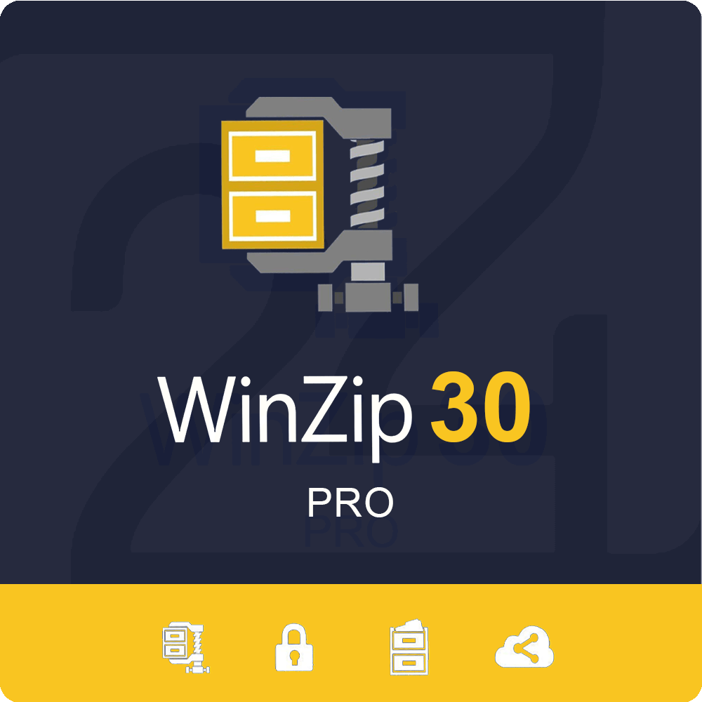 WinZip 30 Pro